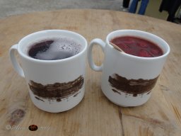 Christkindlmarkt Schönbrunn am 10. 11. 2025